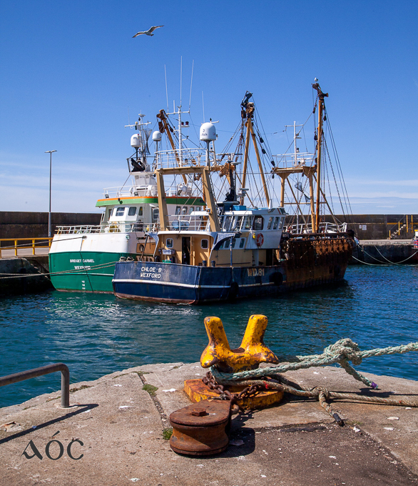 Kilmore_Q_21June26_HOK (c)